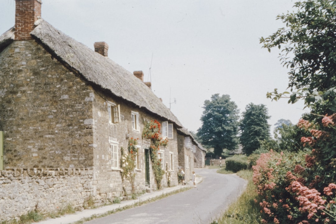 Peaceful Somerset countryside near Catcott